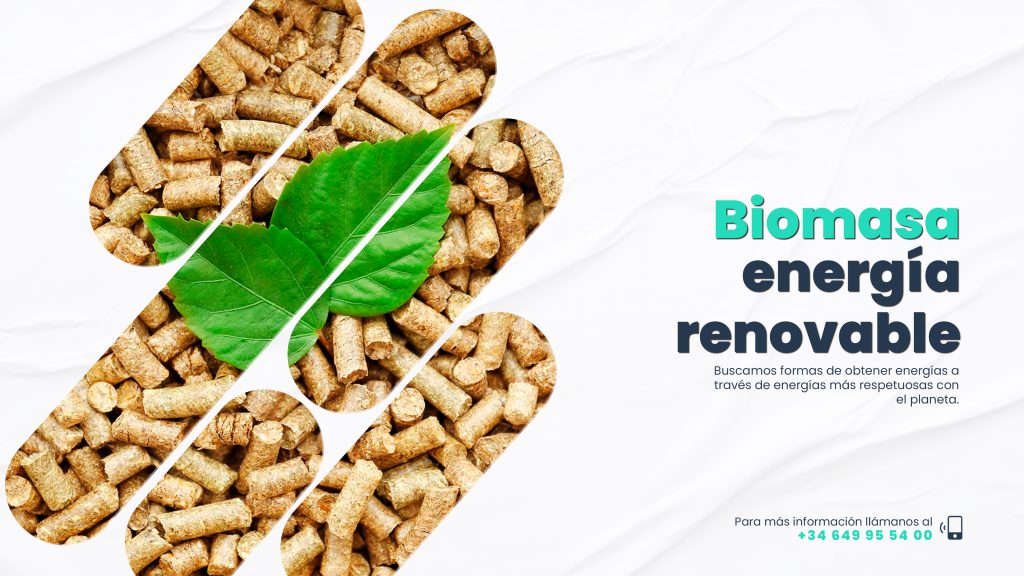 Biomasa - Energía Renovable - Entalpia SL